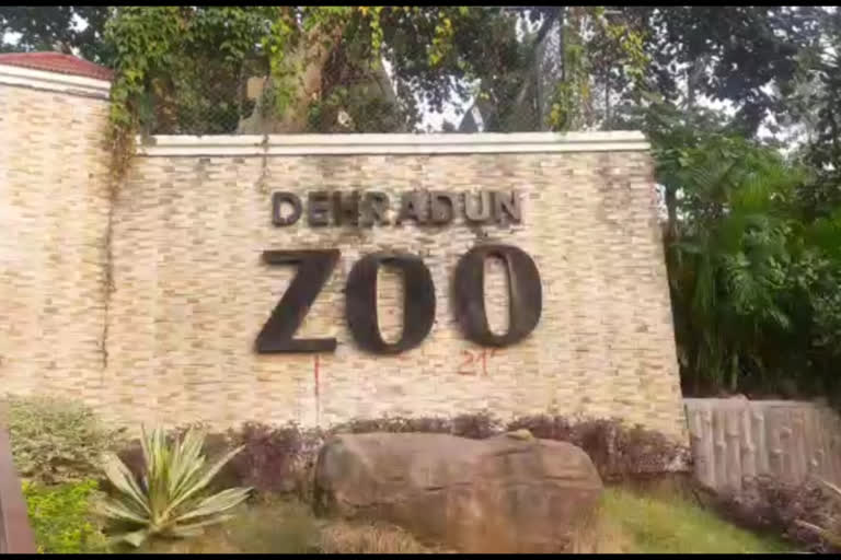 dehradun zoo