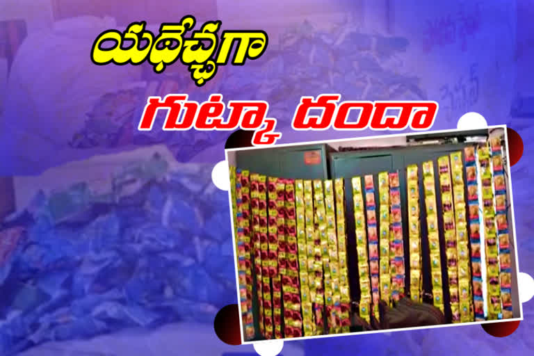 special stroy on  gutka racket in hyderabad