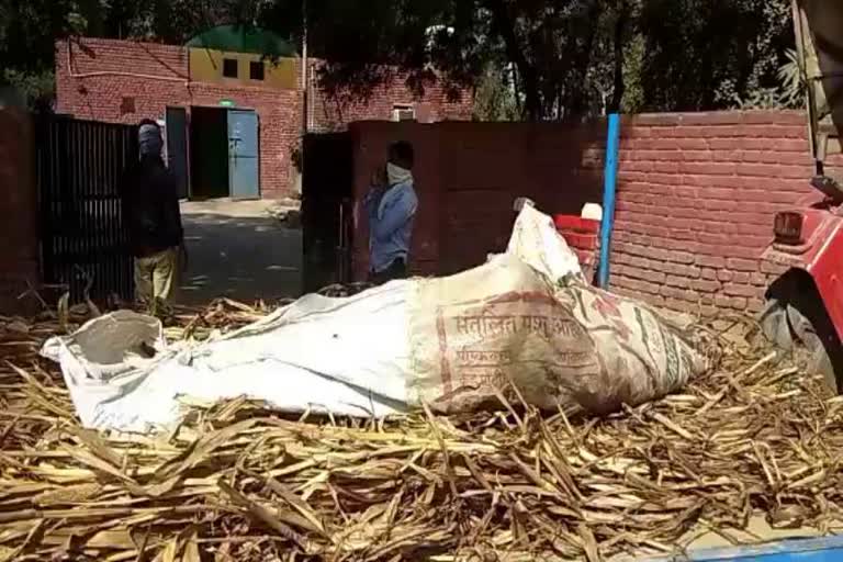 dead body of migrant laborer found in the fields of village tharaya in sonipat