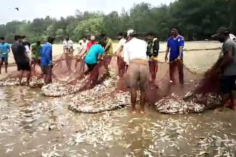 traditional fisherman's trap