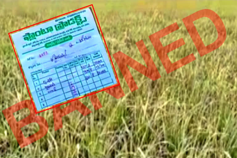 banned pesticides sales in suryapet district