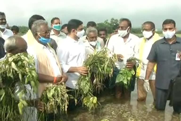 Lokesh visits flood affected areas in guntur