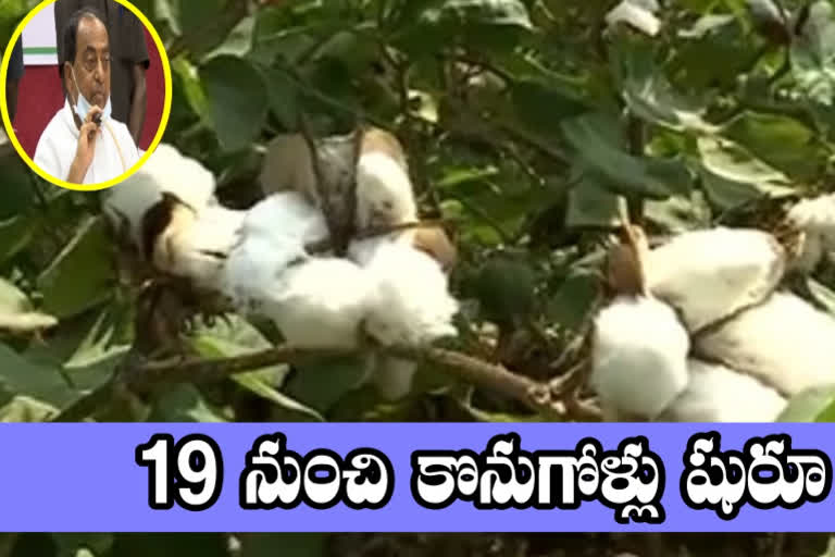 cotton-purchases-will-start-from-the-19th-of-this-month-in-the-joint-adilabad-district