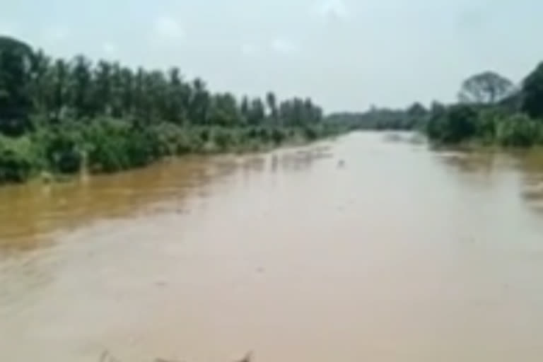 Submerged Crops Westgodavari District