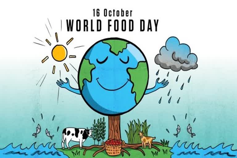 World Food Day Celebration All Over world 16th October