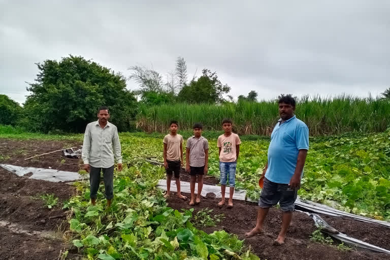 सांगली अवकाळी पाऊस बातमी