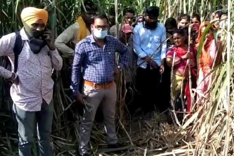 minor girl killed by leopard