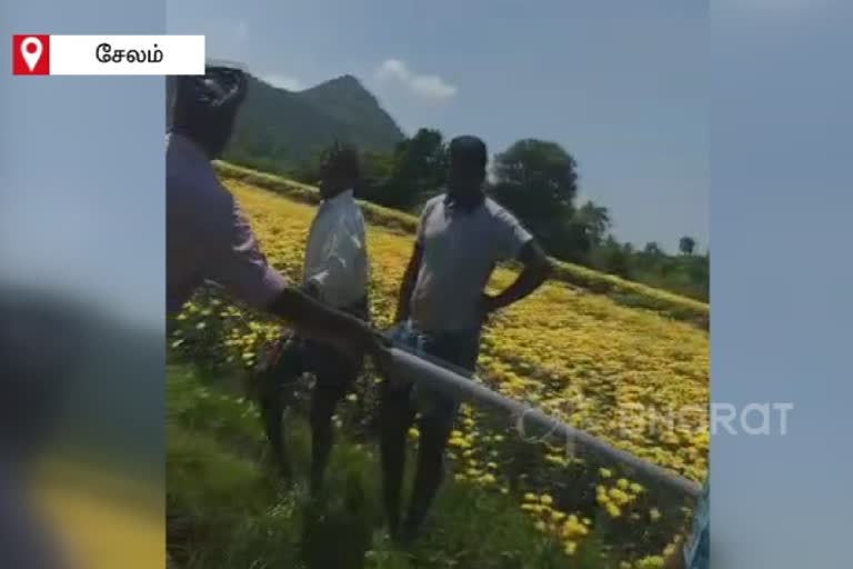 viral video of land fight between two brothers in salem