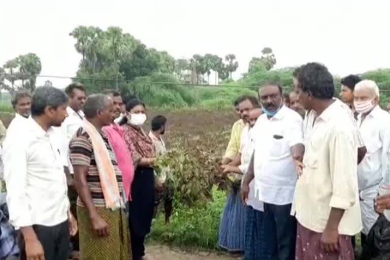 Ex mla crops visit