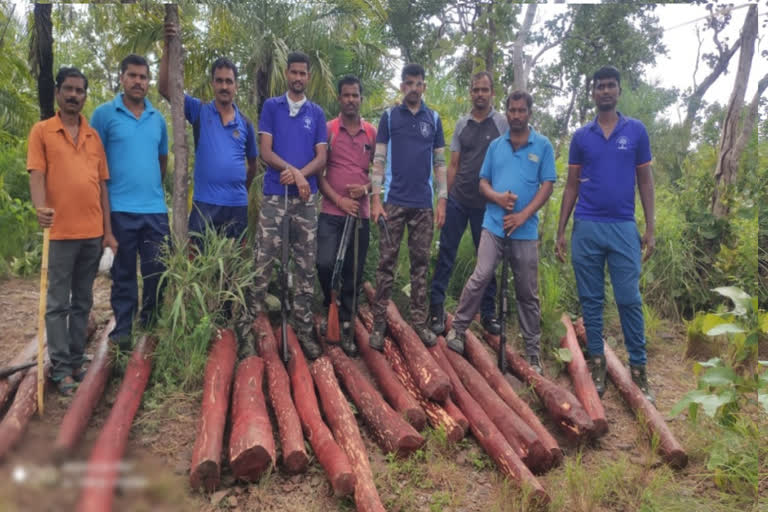 red sandalwood