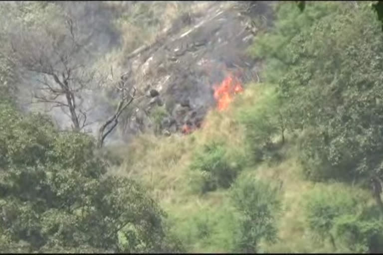 Forest fire near Mansa Devi temple