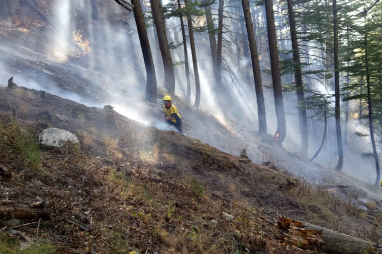 Fire in Dharali forests