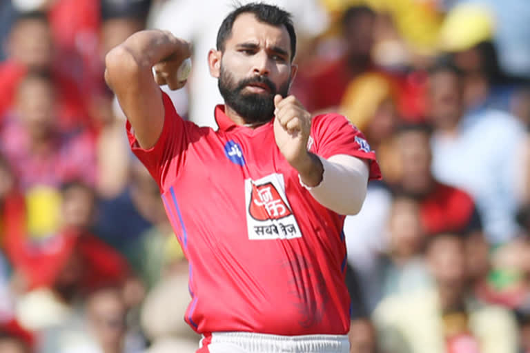 mohammed shami made a special record to his name in ipl 2020