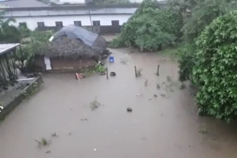 heavy rain in rampachodawaram east godavari