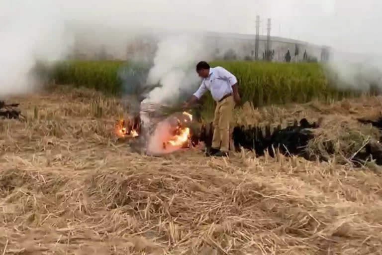 FIR on 15 farmers for burning stubble in Kaithal