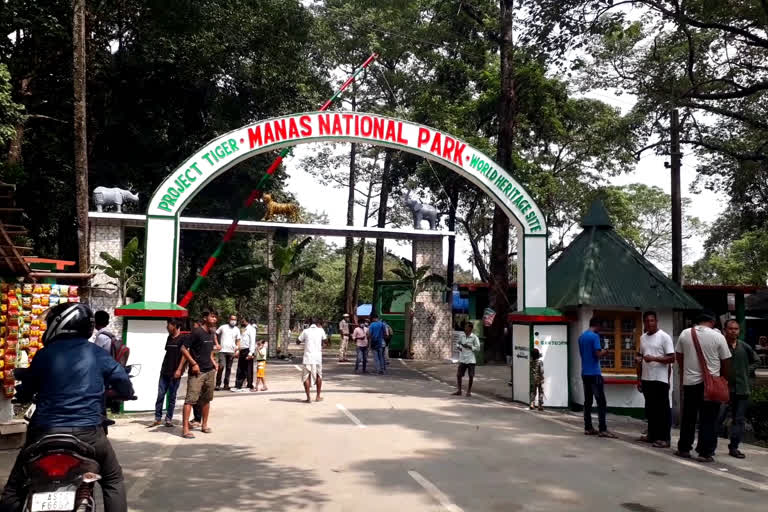 baksa tourist welcome manas national wildlife santuray