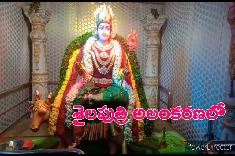 devi navarathrulu in basara saraswathi temple