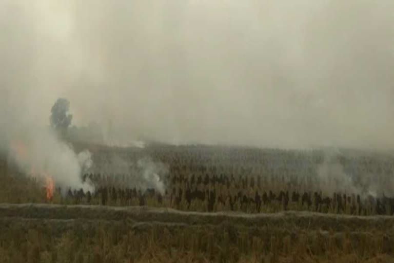 farmers are burning stubble in faridabad but administration has not taken any action