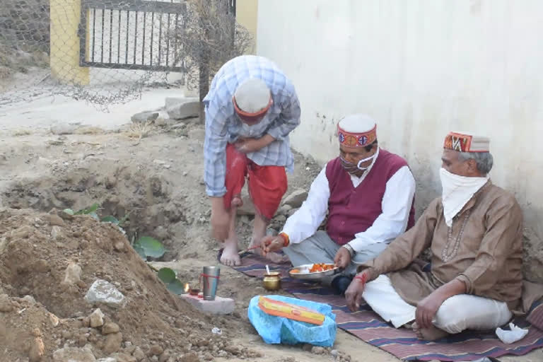 Peepal  planted in rath ground kullu