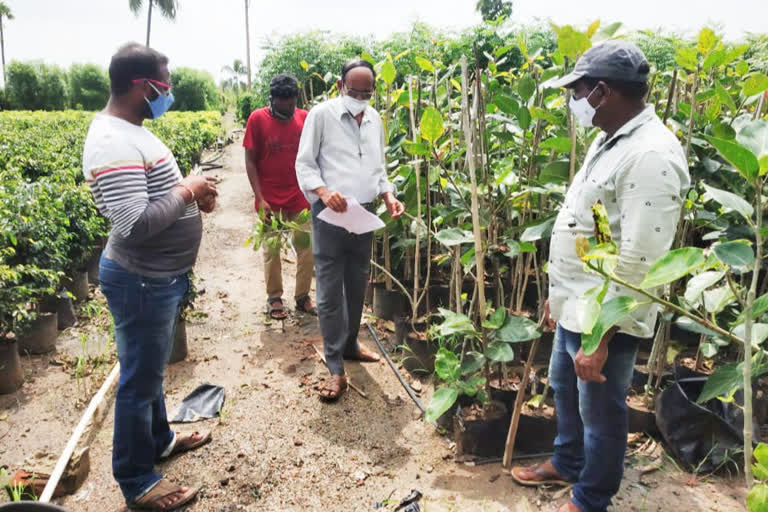 Kottapeta  Drip Irrigation Projects