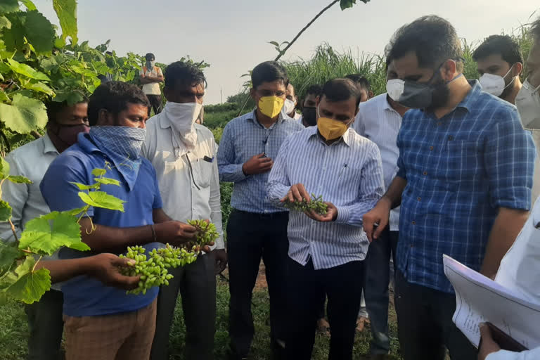 satatra collector shekhar singh visit to heavy rain affected villages