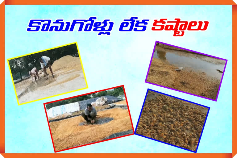 farmers not selling paddy grain conditions in telangana