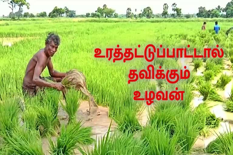 வேளாண் உற்பத்திக்கு உரங்கள் தேவை