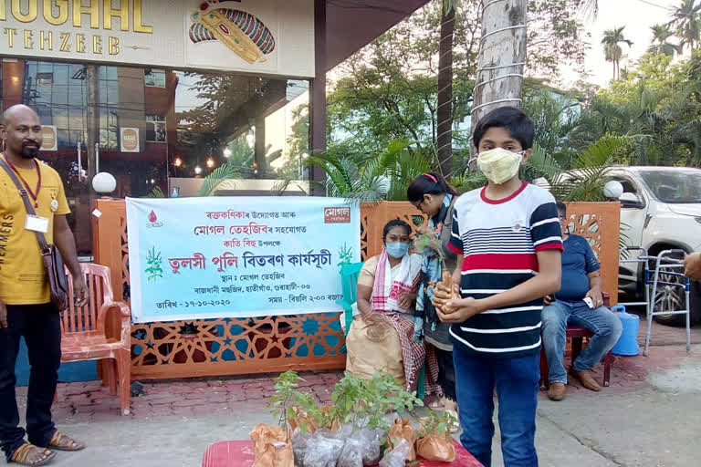 Distribution of Tulsi Puli in the metropolis on the occasion of Kati Bihu