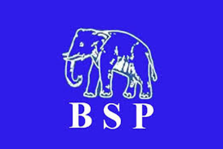 bsp