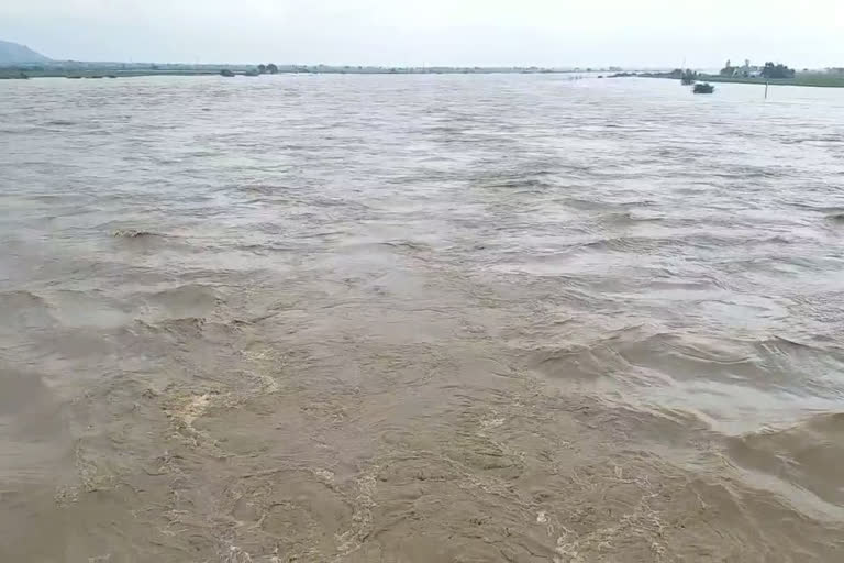 Bhima River  banks people Anxiety