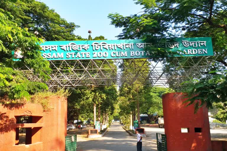 Assam State Zoo will open from december for visitors guwahati kamrup metro assam etv bharat news