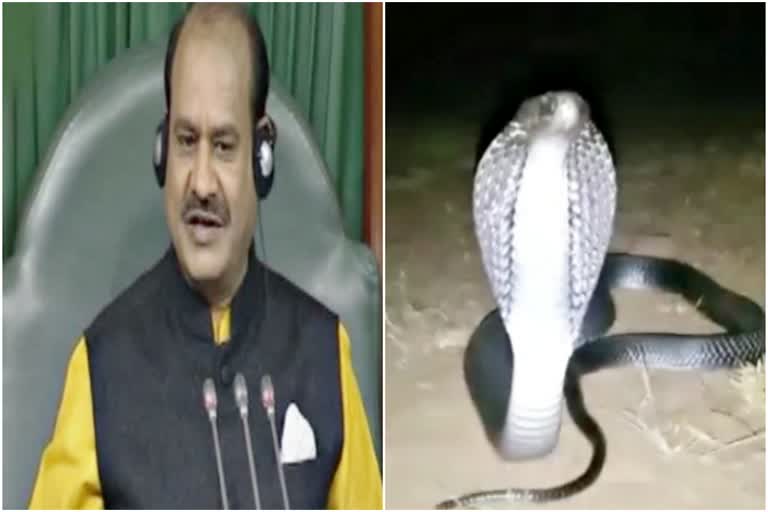 cobra in Om Birla house,  Lok Sabha Speaker Om Birla