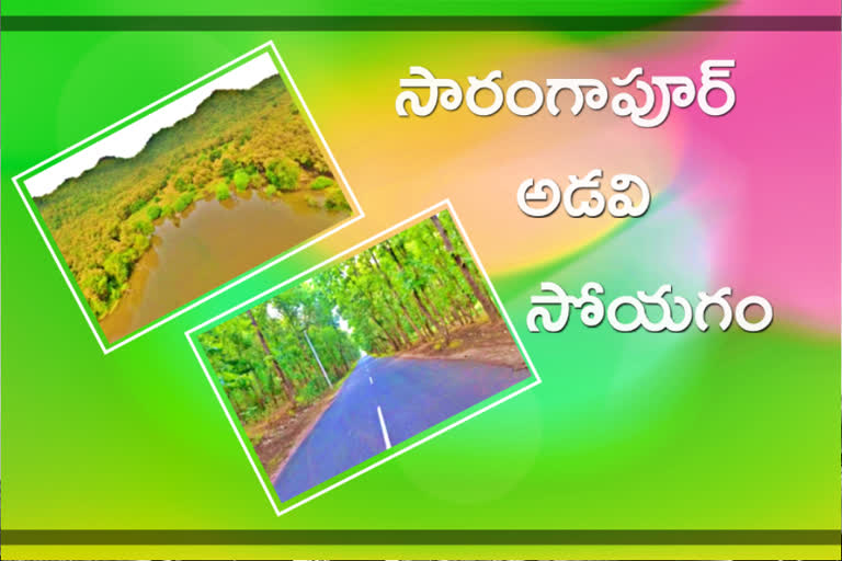 drone video of sarangapur forest in jagtial district