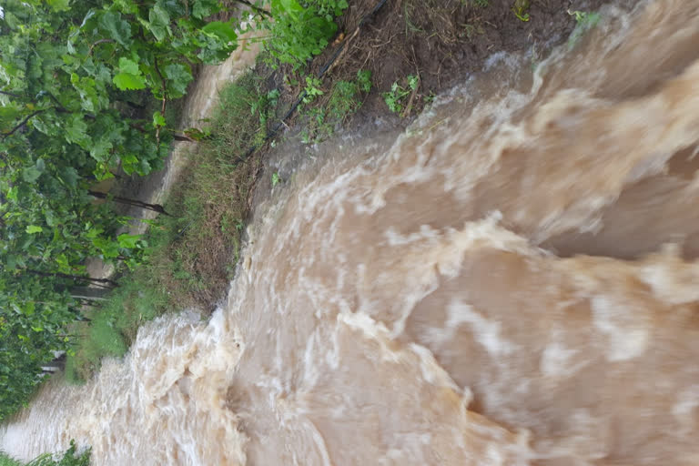 heavy rains hit 58 hectares and 570 villages in solapur district