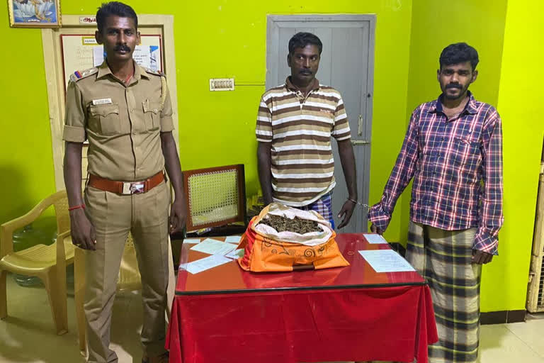 two arrested and ganja seized in kanyakumari