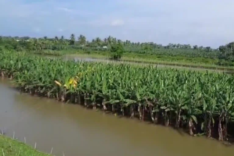 flood effect on krishna river bank places