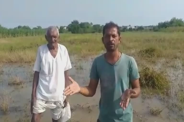 परभणीच्या शेतकऱ्याने कवितेतून मांडली व्यथा