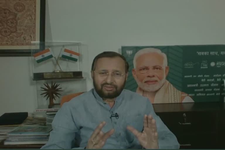 'Pollution problem can't be solved in a day, need continuous effort': Environment Minister Prakash Javadekar