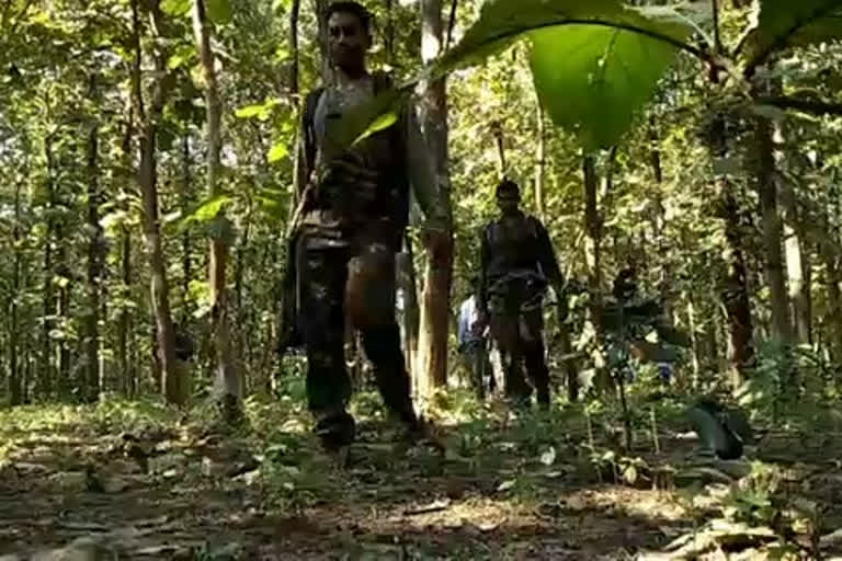 maharashtra-five-naxals-killed-in-gyarapatti-area-of-gadchiroli-district-during-an-operation-today