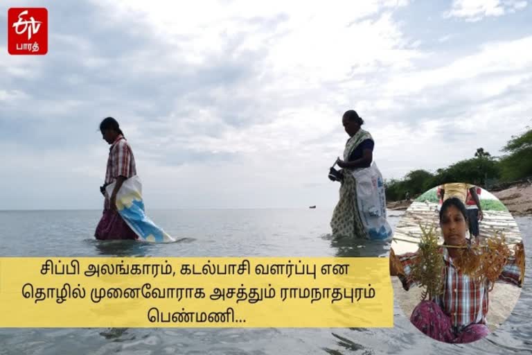 pamban women entrepreneur suganthi