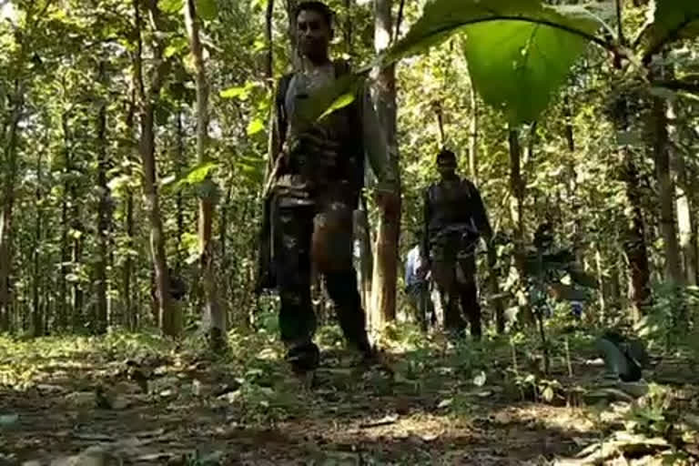 Five Naxals gunned down in Maharashtra's Gadchiroli