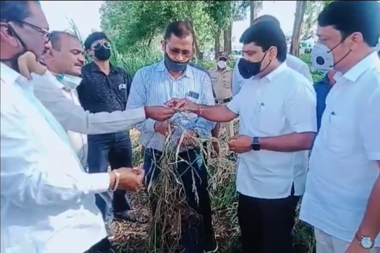 guardian minister of kolhapur