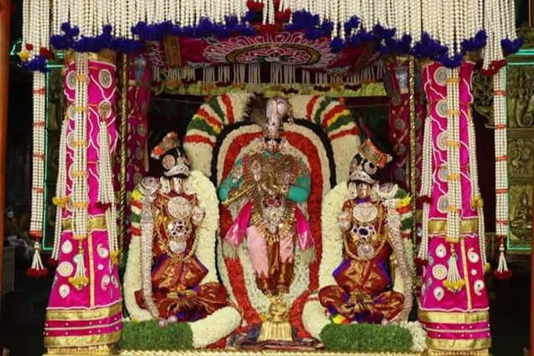 muthyala-pandiri-vahana-seva-for-tirumala-srivaru-over-tirumala-navaratri-brahmotsavalu-2020