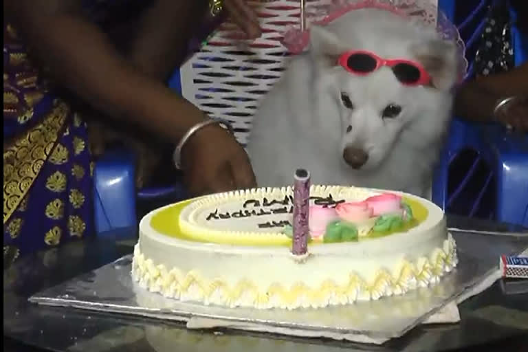 The couple celebrating the doggie birthday In Kolar