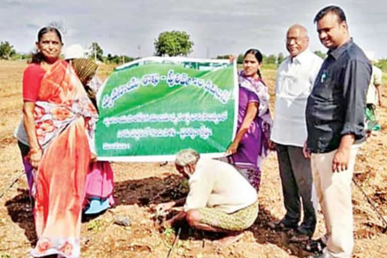 స్ఫూర్తిపథంలో 'సాగు'దాం.. మహిళా రైతుల విజయకేతనాలు!