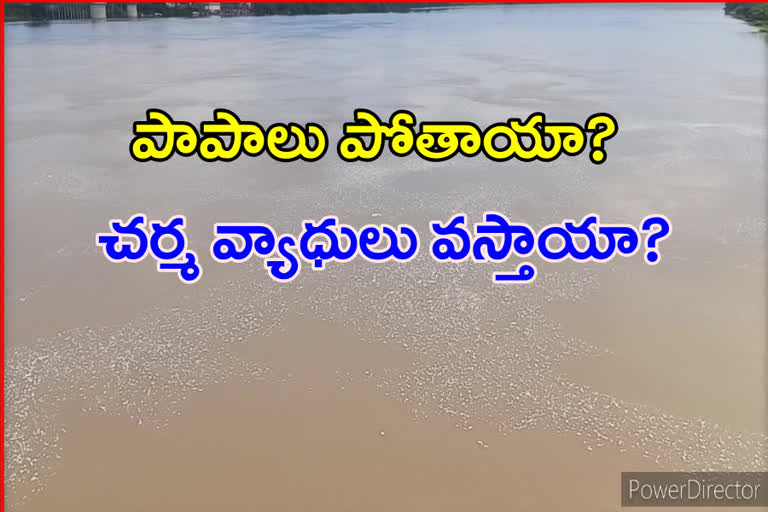 godavari river polluting with factory wastage