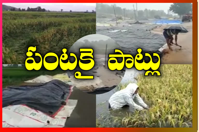 nizamabad-farmers-difficulties-due-to-floods