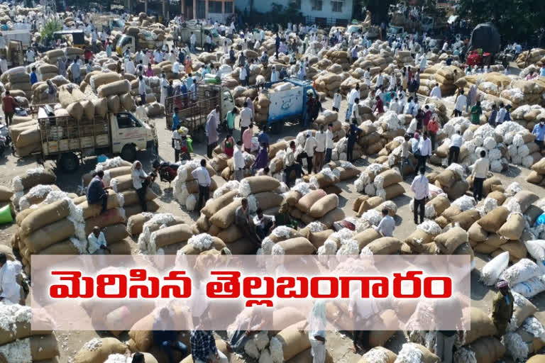 cotton season started at enumamula market in warangal