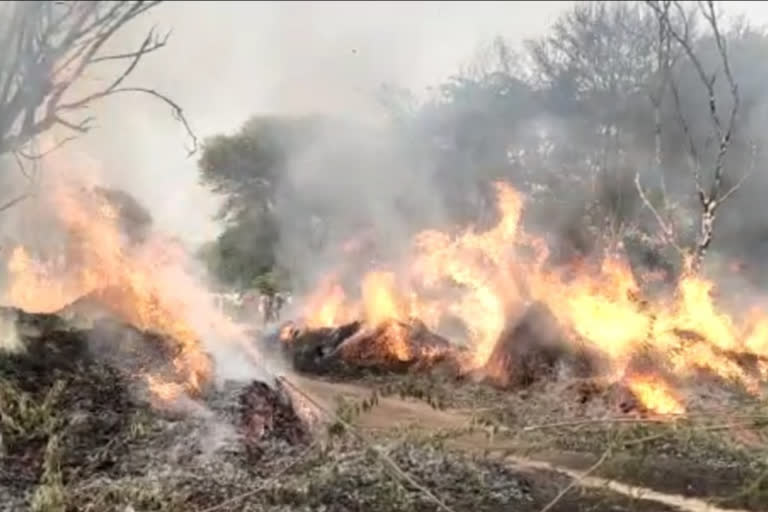 Electricity Department Negligence, कड़वी जलकर राख