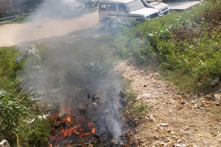 garbage burnt openly in lucknow